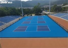 南京世界室内田径锦标赛 茜琳期待出色表现